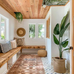 a wooden bench sitting under a window next to a potted palm tree on top of a rug