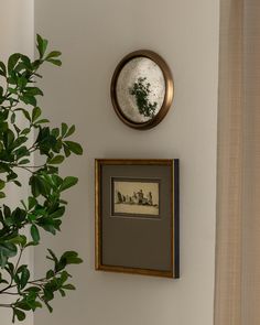 a potted plant is sitting next to a framed photograph on the wall in front of a window