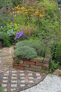 a garden filled with lots of different types of flowers