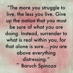 a quote that says, the more you struggle to live, the less you live give up