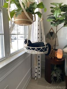 a cat sleeping in a hammock hanging from a window sill next to a potted plant