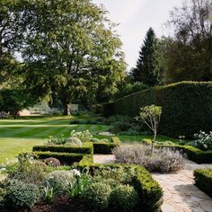 a garden with hedges and trees in the background