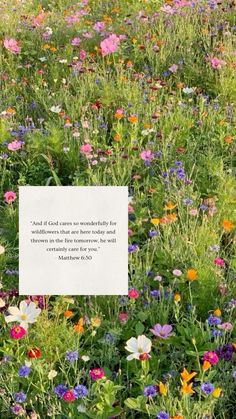 a field full of wildflowers with a quote written on the front and side