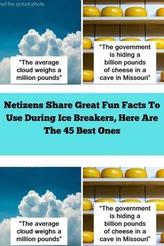 three different pictures with the words netzens share great fun fact to use during ice breakers, here are the 4 best ones