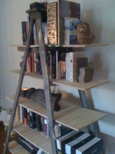 a ladder leaning up against a bookshelf filled with books