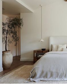 a bedroom with a bed, table and plant in it