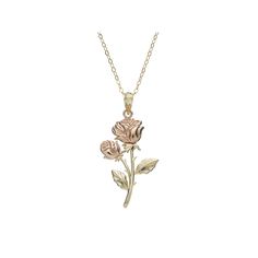 Feminine charm abounds on this 10k yellow gold pendant. A pair of flowers with 10k rose gold-plated petals make it an enchanting choice. Click on this JEWELRY & WATCHES GUIDE to learn about fit, styles, materials and more!PENDANT DETAILS Pendant length: 1.26 in. Chain length: 18 in. Clasp: spring-ring Metal: 10k yellow gold, 10k rose gold over 10k yellow gold, 14k gold-filled chain Size: One Size. Color: 10k 2tone. Gender: female. Age Group: adult. 14k Rose Gold Jewelry With Flower Charm, Rose Gold 14k Gold Charm Necklaces, Rose Gold Charm Necklace For Mom, 14k Gold Rose-colored Jewelry With Rose Design, Rose Gold Pendant Jewelry With Flower Charm, Delicate 14k Stamped Rose Gold Jewelry, Fine Jewelry Rose Gold Necklace With Flower Charm, Rose Gold 14k Gold Charms Necklace, Rose Gold 14k Gold Necklaces With Charms