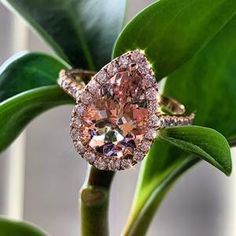 a pink diamond ring sitting on top of a green plant