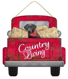 a dog is sitting in the back of a red truck with hay on it's bed