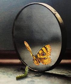 a yellow butterfly sitting on top of a mirror next to a green caterpillar