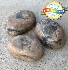 three brown rocks sitting on top of a cement floor