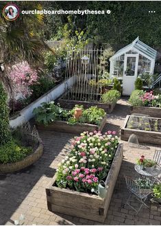 a garden filled with lots of different types of flowers