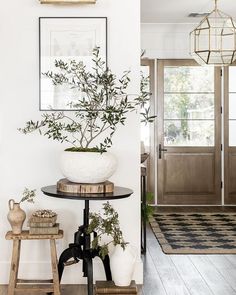 a potted plant sitting on top of a table next to a wooden stool in front of a door