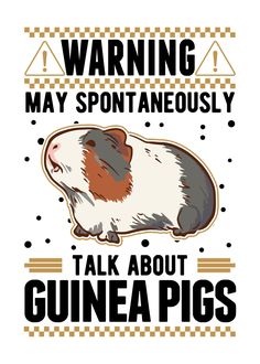 a guinea pig with the words warning may spontaneously talk about guinea pigs