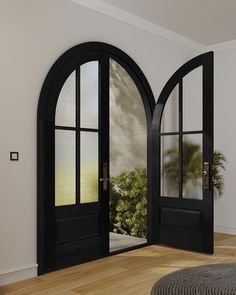 an open black double door with arched glass