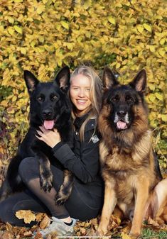 a woman sitting on the ground with two german shepherd dogs in front of some leaves