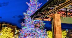 a brightly lit christmas tree in front of a building