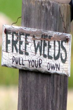 a sign that says free weeds pull your own on a wooden pole with a bird perched on it