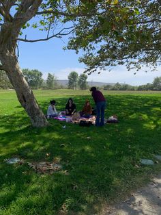 four people sitting under a tree on a blanket in the grass, with one person standing next to them