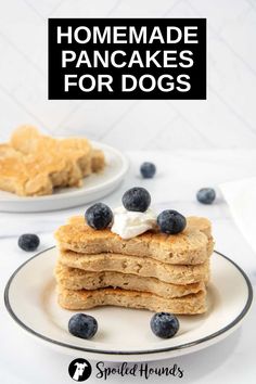 homemade pancakes with blueberries and whipped cream are stacked on top of each other in front of the words, homemade pancakes for dogs