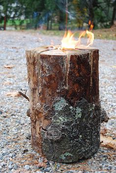 a tree stump that has some kind of fire burning in the middle of it,