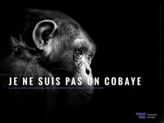 a black and white photo of a monkey with the words je ne suis pas un cobaye