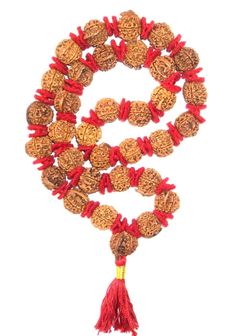 Product Name : Ganesha Rudraksha Kantha Bead size : 19 mm - 20 mm Design :  33 beads of high quality Ganesha rudraksha of nepal strung in strong thread having traditional knots between beads with Woolen spacers . Origin : Nepal Description :  Ganesh Rudraksha bears a Trunk like elevation as is seen on the face of Lord Ganesha, the son of Lord Shiva. Ganesha, the elephant-headed God of success and overcoming obstacles, is also associated with wisdom, learning, prudence, and power. He gives 'Riddh Festive Temple Necklace With Round Beads For Rituals, Temple Necklace With Latkans And Round Beads For Festivals, Temple Necklace With Tilla And Round Beads For Festivals, Festival Temple Necklace With Tilla And Round Beads, Red Mala With 108 Beads For Puja, Temple Jewelry Mala With 108 Beads For Puja, Red Hand-strung Mala For Festivals, Temple Jewelry Mala With 108 Beads For Rituals, Temple Jewelry Mala With Round Beads For Meditation