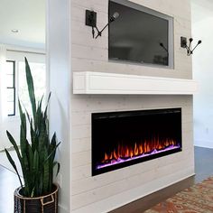 a living room with a fireplace and television mounted on the wall, along with a potted plant