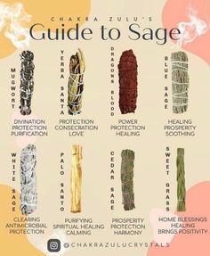 Helpful sage guide: occult Witch Herbs, Magia Das Ervas, Wiccan Magic, Witch Spirituality, Sage Smudge, Magic Herbs, Magical Herbs, Wiccan Spell Book, Witchcraft Spell Books