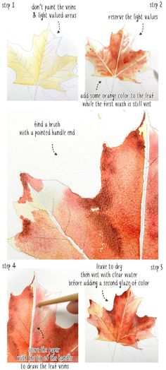 step by step instructions on how to paint an autumn leaf