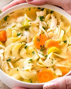 a bowl of chicken noodle soup with carrots and celery