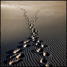 footprints are seen in the sand as they make their way to the beach