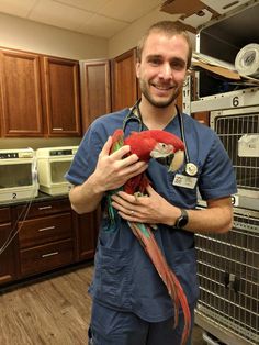 a man in scrubs holding a red and green parrot with medical equipment on it's back