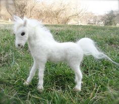 a small white pony standing on top of a lush green field