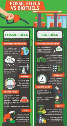 the cost of fossil fuels info