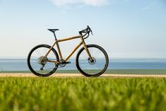 a bike is parked on the grass by the beach