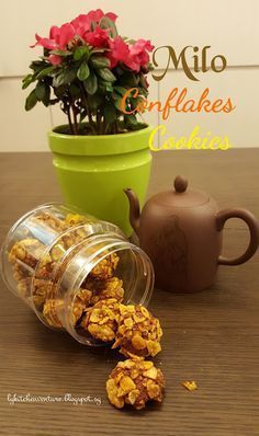 a glass jar filled with granola next to a potted plant and teapot