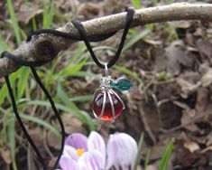 "Our son Henry came up with this apple necklace design and when it started selling at the Eugene Saturday Market we knew he was on to something. It's a great teacher appreciation gift. We cleverly and securely wirewrapped the 1/2\"(1.3cm) ruby red glass marble in sterling silver and added a green Czech pressed glass leaf. The entire pendant measures about 1 1/8\"(3 cm) from the top of the bail to the bottom of the pendant. You can add a 30\" black satin cord with NO clasp that can be tied to any Hand Wrapped Red Necklace As Gift, Red Hand Wrapped Necklace As Gift, Red Hand Wrapped Necklace For Gift, Red Hand Wrapped Jewelry Gift, Hand Wrapped Red Jewelry For Gift, Handmade Cherry Jewelry For Gift, Teachers Necklace, Sterling Silver Wire Wrap, Glass Marbles