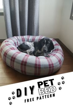 a black and white dog laying on top of a bed in front of a window