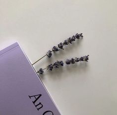 two lavender flowers sitting on top of a white table next to a purple book with the word abo written on it