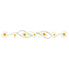 a white and yellow border with daisies on it