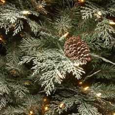 a pine cone sitting on top of a christmas tree