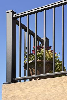 a planter with flowers is on the top of a balcony railing, against a blue sky