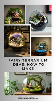 there are many different types of terrariums in this photo and the text reads, fairy terrarium ideas how to make