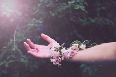 a person's hand holding flowers in front of some trees and bushes with the sun shining on them