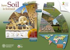 the cover of soil is formed with pictures and words on it, including an earth map