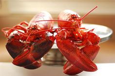 cooked lobsters on a plate ready to be eaten by someone in the kitchen or dining room