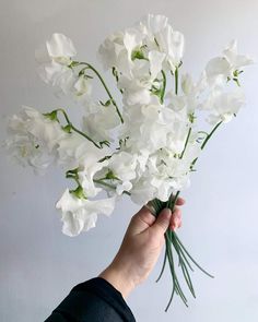 a hand holding a bouquet of white flowers