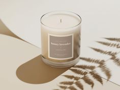 a white candle sitting on top of a table next to a leafy plant shadow