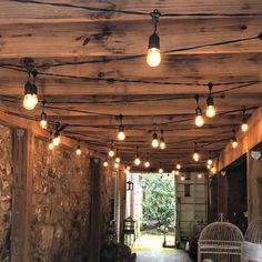 an outdoor area with lights and birdcages hanging from the ceiling, along with stone walls